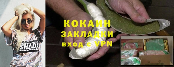 ALPHA PVP Ельня