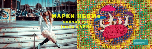прущие грибы Елабуга