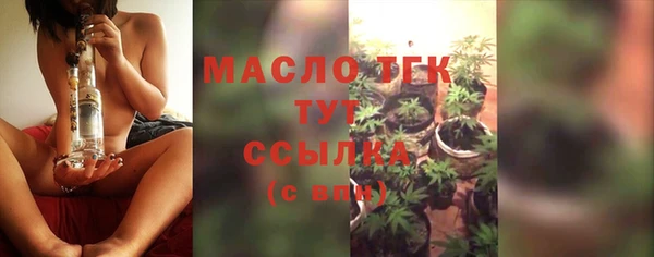 ALPHA PVP Ельня