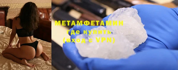 прущие грибы Елабуга