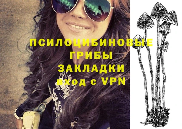 прущие грибы Елабуга