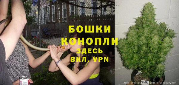 спиды Ростов
