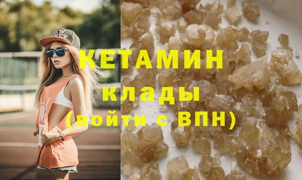 прущие грибы Елабуга