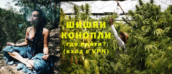 ALPHA PVP Ельня