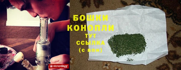 прущие грибы Елабуга