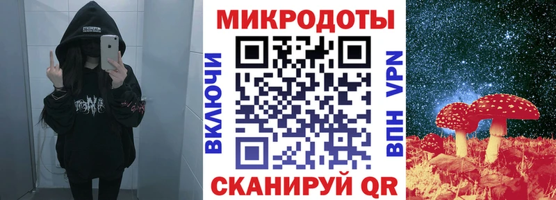 blacksprut как войти  Сланцы  Галлюциногенные грибы Psilocybine cubensis 